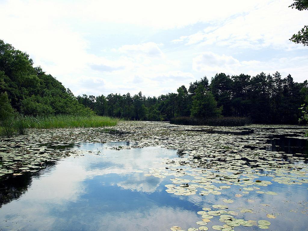 Вілла Domek Letniskowy Grazyna Копаліно Екстер'єр фото